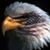 Linda Sue Arrow's profile image
