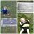 Cheri Thiel Robinson's profile image