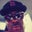 Neal Miller's profile image