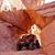 Michelle Boggs-Thorne's profile image