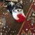 Belinda Hudkins's profile image