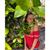 Marissa Raymond's profile image