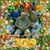 Linda Hawkins's profile image