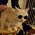 Bobbie Sue Walton Vaught's profile image