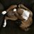 Frank Buchert's profile image