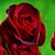 Judy Uitenbroek's profile image