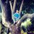 Jill Pace Brunker's profile image