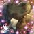 Patricia Ann Flores's profile image