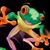 Rob Forrest's profile image
