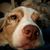 Jen Hileman's profile image
