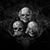 Warren Redmon's profile image