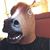 Stephen Erno's profile image