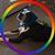 Crystal Ochsner's profile image