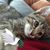 Rhonda Labonte's profile image