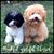 BiggieSmalls-Gus Isbell-Schutz's profile image