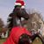 Desiree Wilson Clauson's profile image