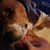 Chad Allen Ingold's profile image