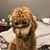 Jim Braaten's profile image
