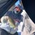 Andrew Greer's profile image