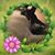 Terry Guszcza's profile image