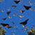 Enas Rawashdeh's profile image