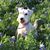Kathleen Clark's profile image