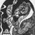 Jim Peters's profile image