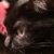 Mary Hoadley's profile image