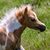 Tami Melter Zimmerman's profile image