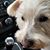Karen Ann Therrien's profile image
