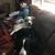 Debbie Albright-vogel's profile image