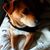 Geffen Okin's profile image