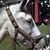 Liz Lofgren's profile image