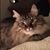 Kathy Walker Lybrand's profile image