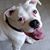 Jennifer Detty's profile image