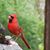 Joyce Walker's profile image