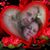 Rhonda Law's profile image