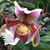 Susan Ganiban-Fernandez's profile image