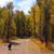 Susan Yandell's profile image