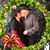 Felicia Bazan's profile image