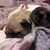 Vicki Lynn Ross-malcolm's profile image