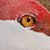 Karen Hackett Mogen's profile image