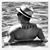 Don Tilley's profile image