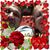 Mike Rueckert's profile image
