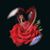 Laura A Meinert's profile image