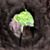 Cameron Dunford's profile image