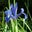 Kerry Keough's profile image