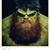 John Warner's profile image