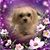 Theresa Ramos's profile image