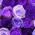 Sabrina Enriquez Baca's profile image